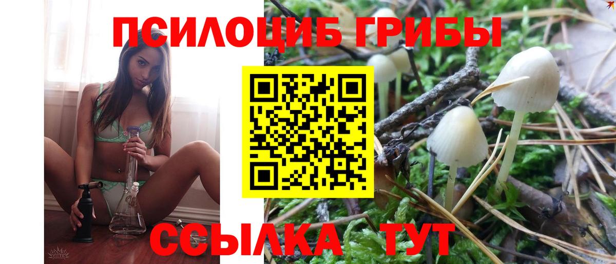 Псилоцибиновые грибы Psilocybe  купить наркотик  Елец  Вход с VPN  Псилоцибиновые грибы ЛСД 